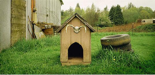 《战地2042》在线玩家数量远低于《战地1》《战地5》